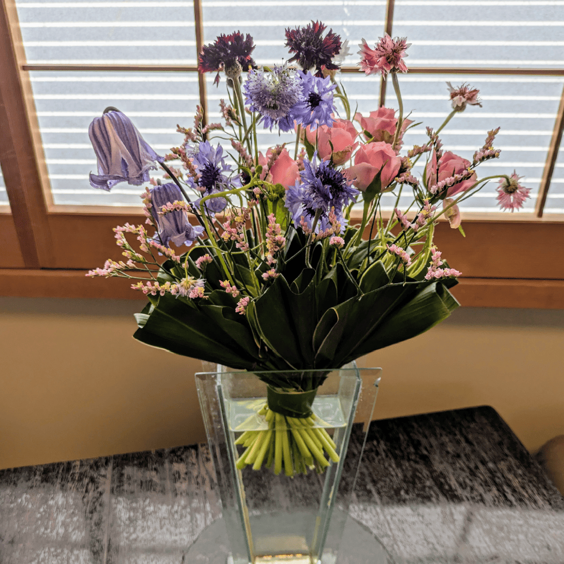 ドラセナのファンシェープ ボケー  松下講師作品