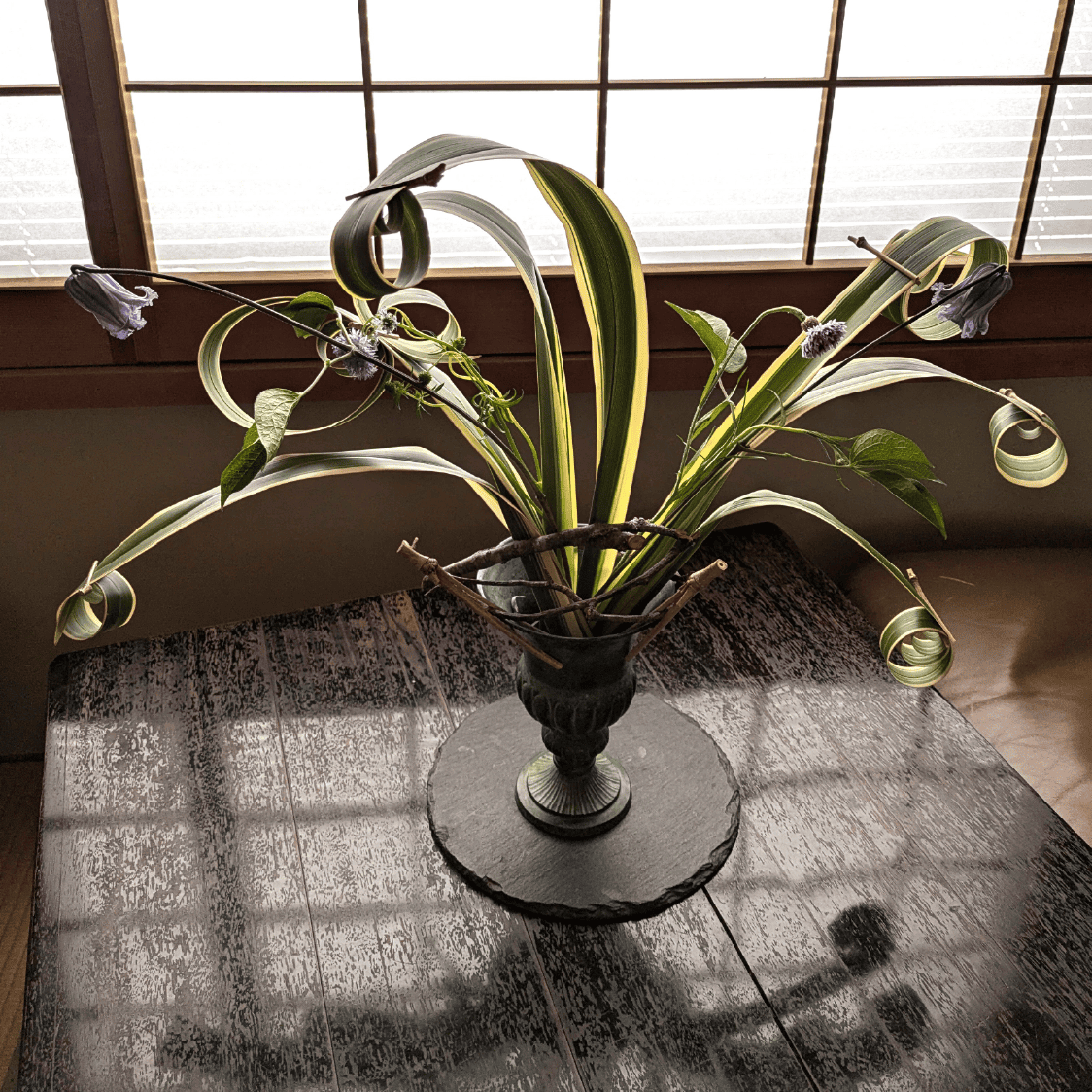 研究科 脊黒講師作品