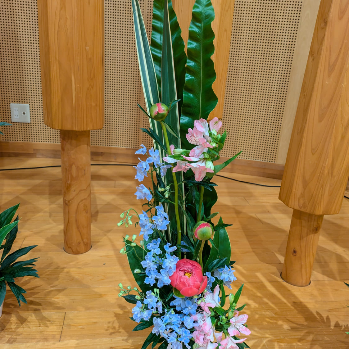 Hananoki 保育園  保育園先生の作品