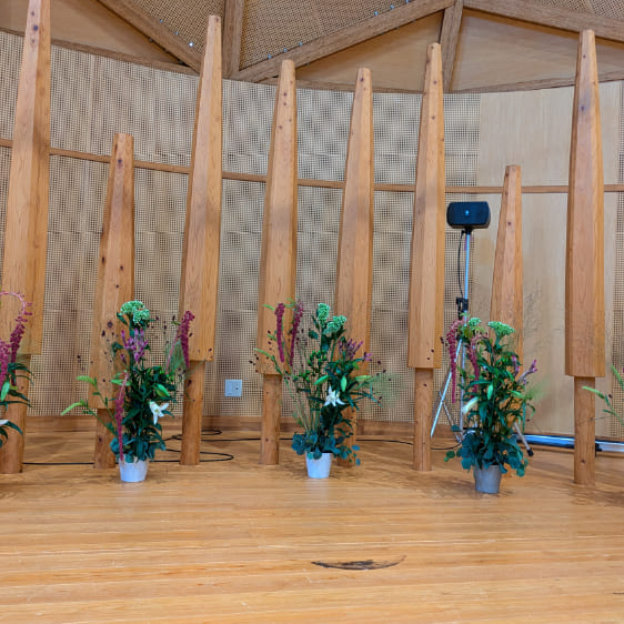 花の木保育園お誕生日の花