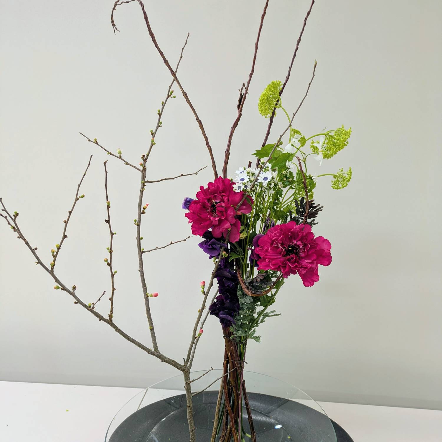 すっくと立つボケーから　山口作品