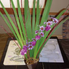 大島講師作品「花で描くライン」