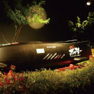 下町のボブスレーと川崎景太先生の花