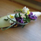 だいこんに咲く花です。