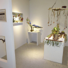 新宿高島屋「クラシサク」山口クラスブース写真Ⅰ