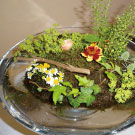 涼やかな浮島のデザインです