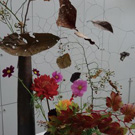 秋の風情です山口作品