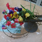 ２０１５年の春の花です。