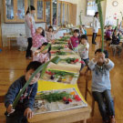 卒園式の準備です。ニューサイランを丸めます。