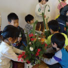 -仕上げにニューサイランを加えます。