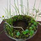 パーソナル「水辺をいける」山口作品