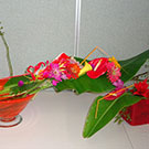 ビビットカラ―のデザイン山口作品