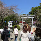 千葉県佐原へ　景介校長の考花学のミニツアー