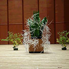 チャリティコンサートの花　第１部「怒りと悲しみ」がテーマ