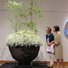 川崎景太先生の作品　大きな土の器にしろいはな