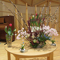 花の木保育園　1月お誕生会の花