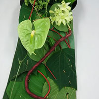 アカメガシワと葛の葉のランナー　　山口作品