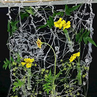 ＫＥＩＴＡクラス　グルーステックのデザイン