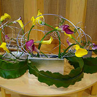 花の木保育園　8月のお誕生会のデザイン