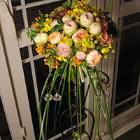 ロココシャワー　ボケー　専攻科生　岩澤作品