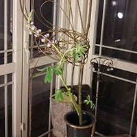 松下講師作品 線の構成のデザイン