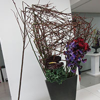 講師　探究科　花のかたち　四角　山口作品