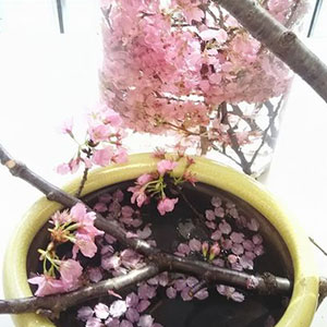 パーソナルクラスレッスン