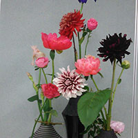 大輪の花のデザイン　山口作品