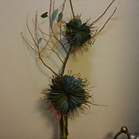 ユーカリポポラスのデザイン　鈴木智子講師作品