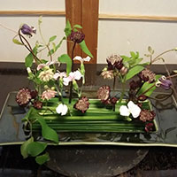 オクラレウカと小さなクレマチスのデザイン　　ビギニング　平本さんの作品