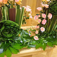 花の木保育園　5月お誕生会のデザイン