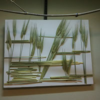 研究科　松田講師作品