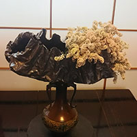 研究科　中溝講師　作品