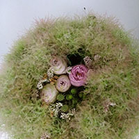 Ｋｅｉｔａクラス　スモークツリーに垣間見る花　山口作品