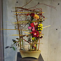 サンゴ水木の面に秋の花