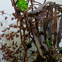 花・さく・暮らし　作品展東京　山口作品