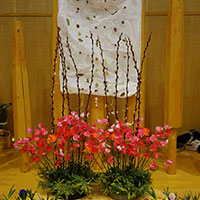 花の木保育園お誕生会の花