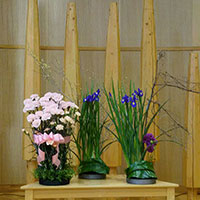 枝の鯉のぼりです。