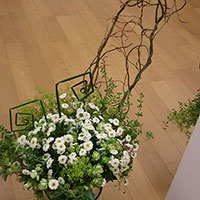 フィラフラワーの花束です