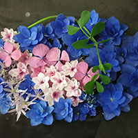 水面に浮かぶ　紫陽花　山口作品