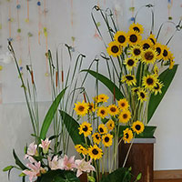 ののはな文京保育園のひまわりのデザイン