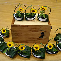 花の木保育園のお誕生日のプレゼント１輪のひまわり！