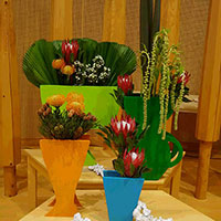 南国をimageして