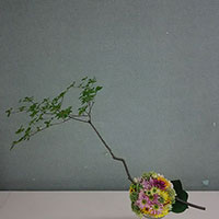 テーブルトピアリー　山口作品