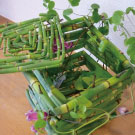 完成しました。