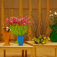 花の木保育園　１月お誕生会の花