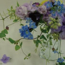 薄紫の二次会用ボケー