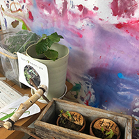 正和（せいわ）幼稚園（町田市認定こども園）の園児さんはモミジ、ケヤキを鉢植えに！！