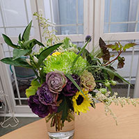 初夏のロココボケー