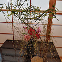 研究科　垣間見る花　鈴木講師作品